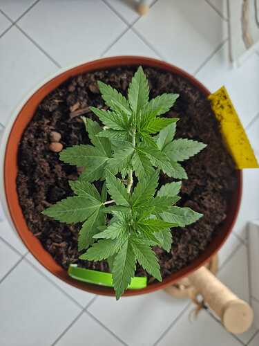 WhatsApp Image 2024-05-22 at 17.48.41 (3)