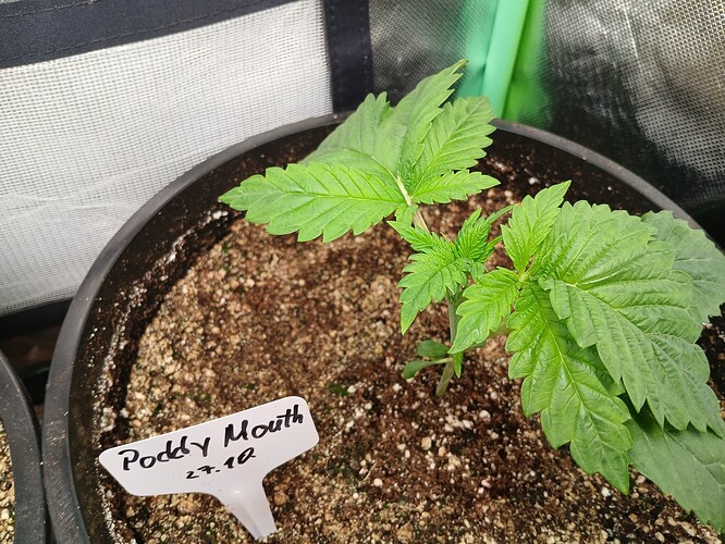 Growreport Bild 13