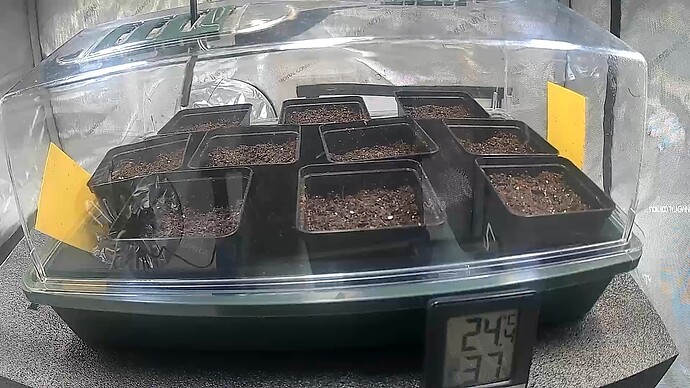 6083E7D51A97_20241126135855640