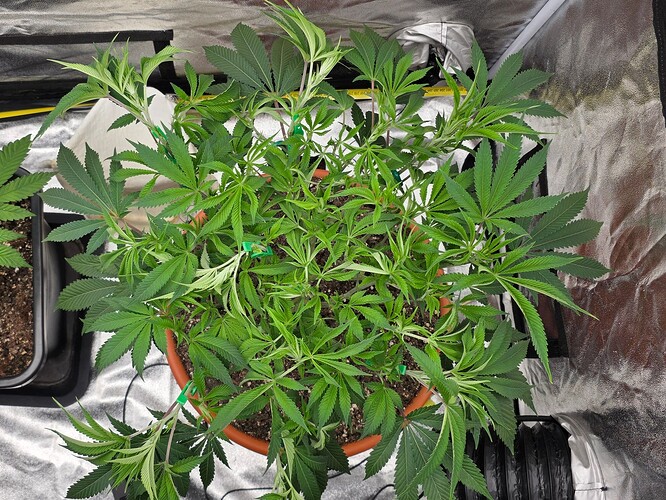 Growreport Bild 2
