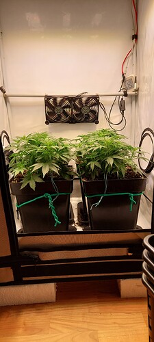 Growreport Bild 3