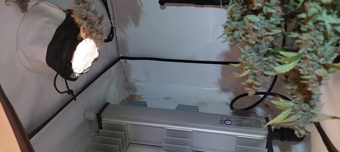 Growreport Bild 5