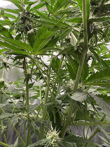 Growreport Bild 10