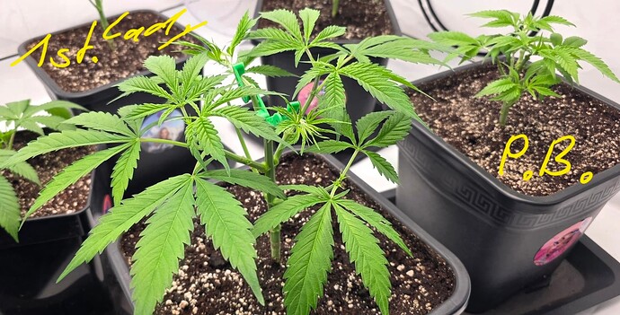Growreport Bild 26