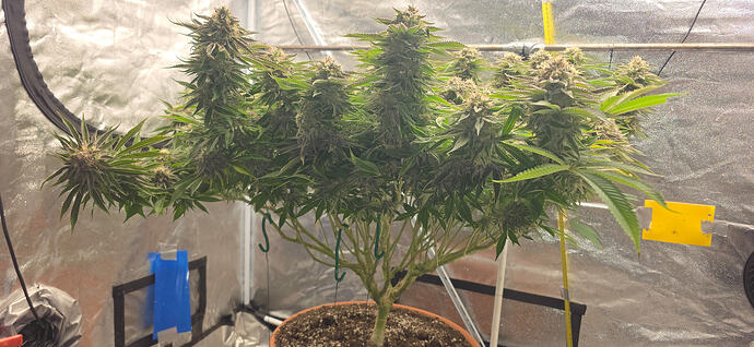 Growreport Bild 10