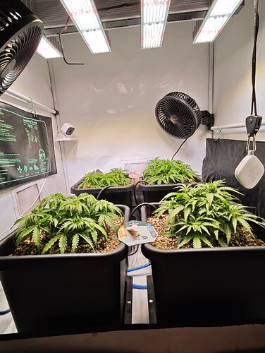 MVIMG_20251012_210612