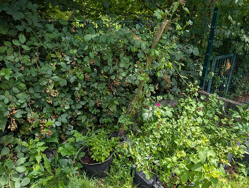Growreport Bild 16