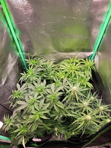Growreport Bild 8