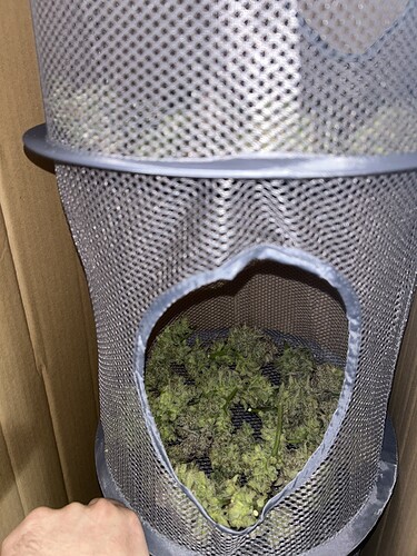 Growreport Bild 5