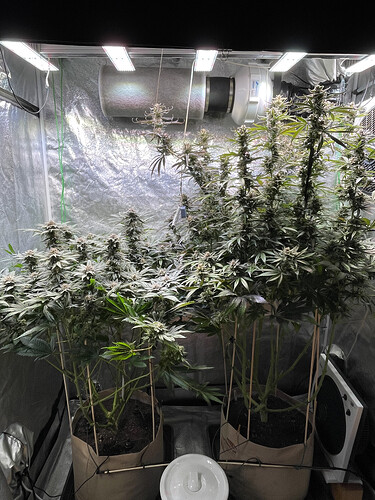 Growreport Bild 1