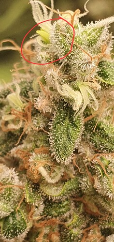 Growreport Bild 12