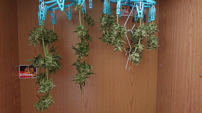 Growreport Bild 26