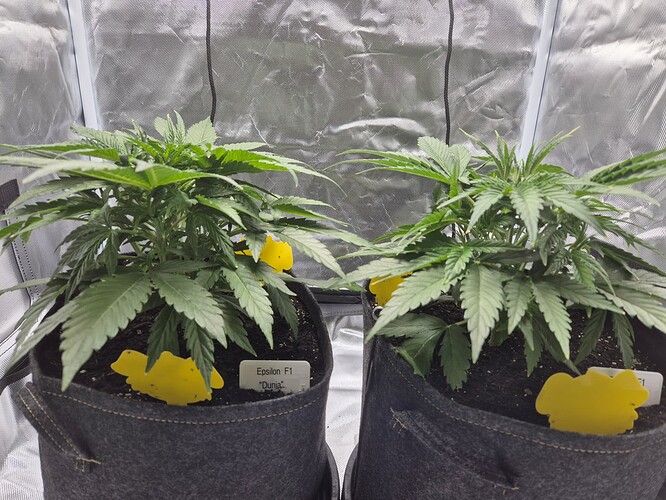 Growreport Bild 8