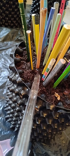 Growreport Bild 21