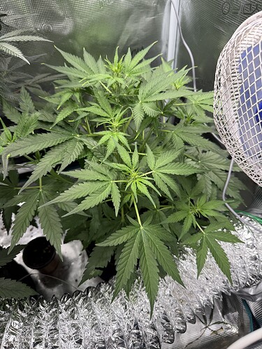 Growreport Bild 12