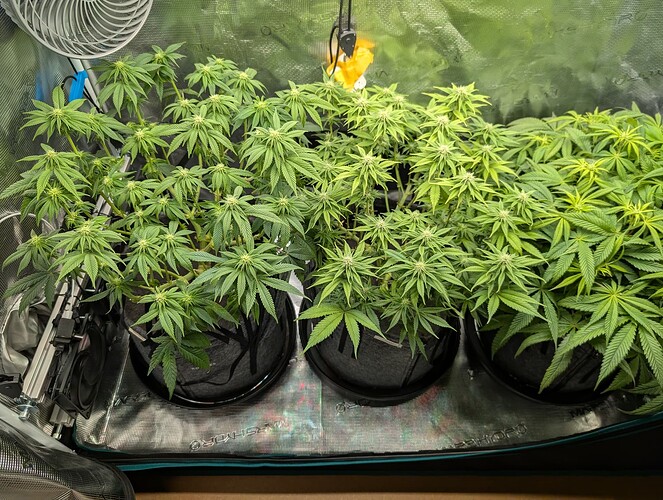 Growreport Bild 5