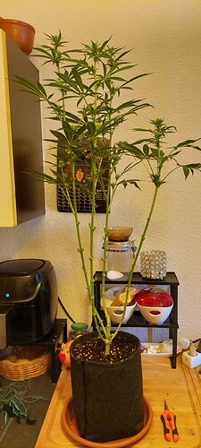 Growreport Bild 10