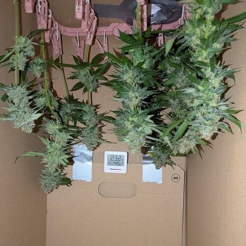 Growreport Bild 15