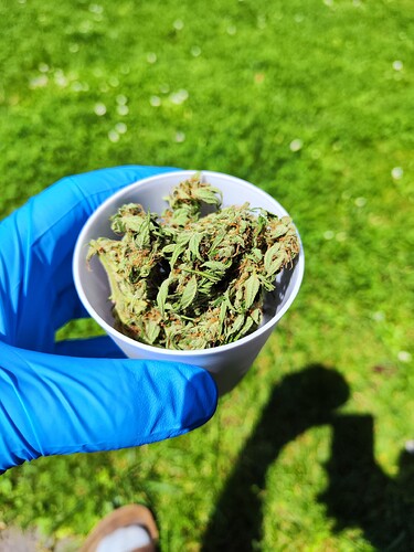 Growreport Bild 8
