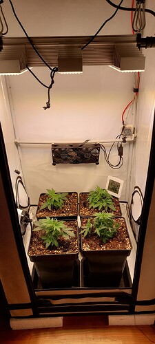 Growreport Bild 4