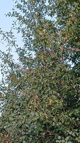Growreport Bild 28