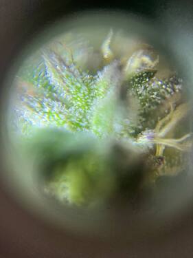 photo_2024-10-13_13-09-23