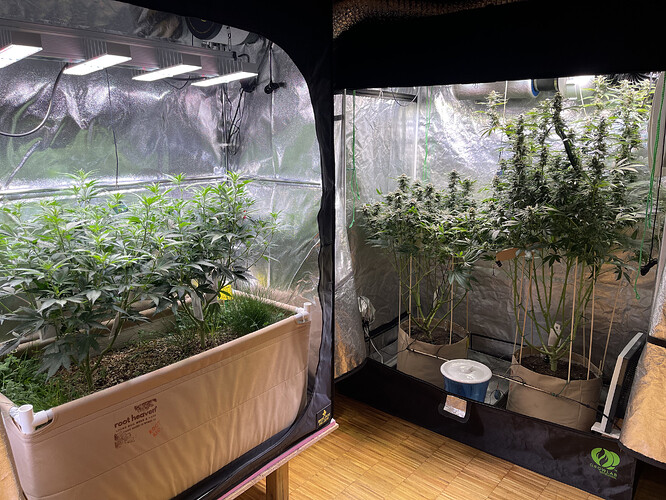 Growreport Bild 6
