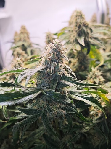 MVIMG_20251121_193104