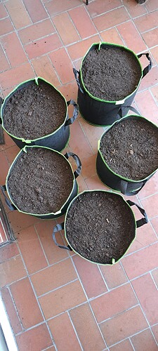 Growreport Bild 53