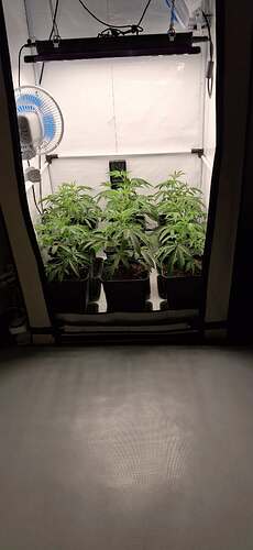 Growreport Bild 18