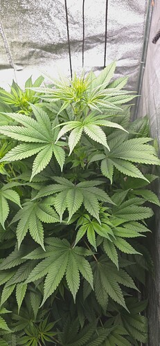 Growreport Bild 10