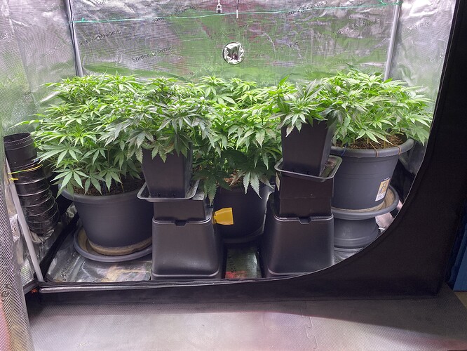 Growreport Bild 20