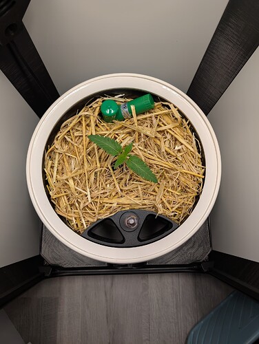 PXL_20250311_203800756