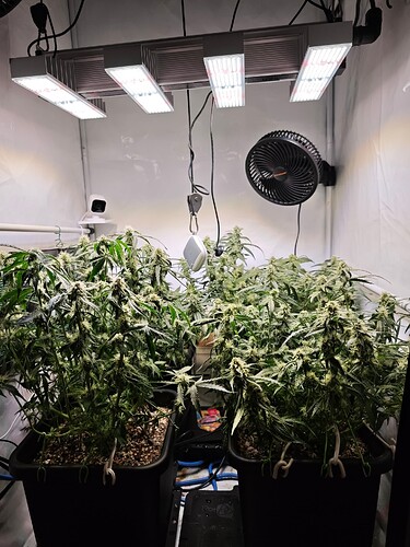 MVIMG_20251103_190406