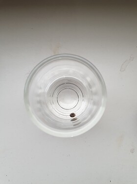 Purple Punch Seed