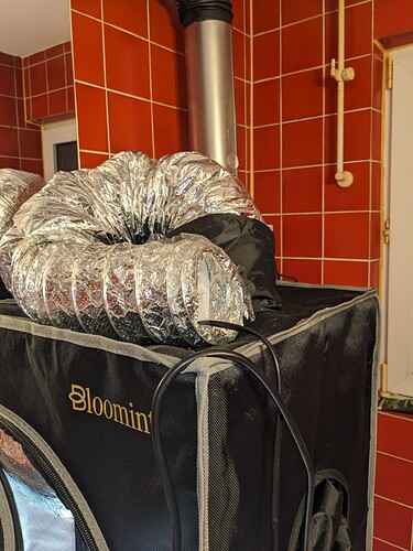 PXL_20240515_013553407