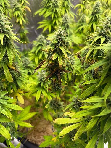 Growreport Bild 12
