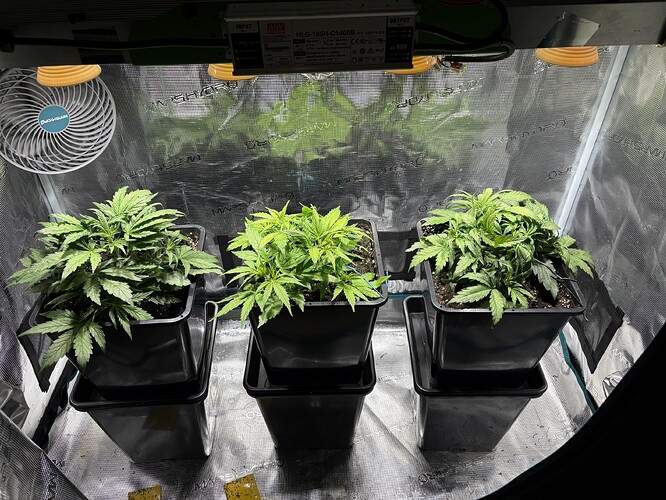 Growreport Bild 3