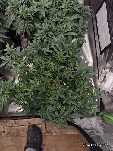 Growreport Bild 8