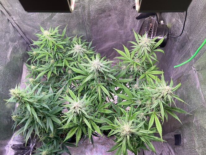 Growreport Bild 2