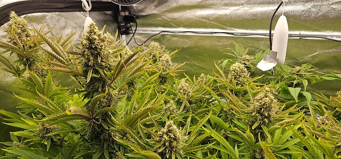 Growreport Bild 28
