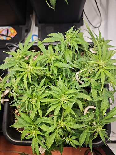 MVIMG_20251016_184207