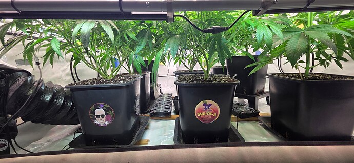 Growreport Bild 23