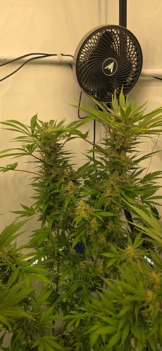 Growreport Bild 4
