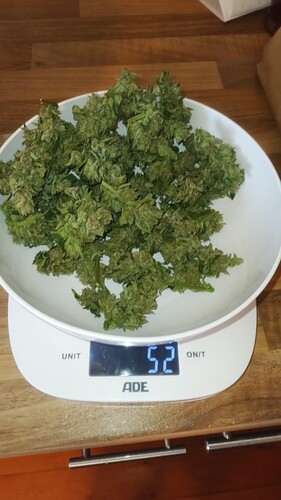 Growreport Bild 10