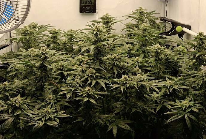 475508908_122166565070293599_392203398385225055_n