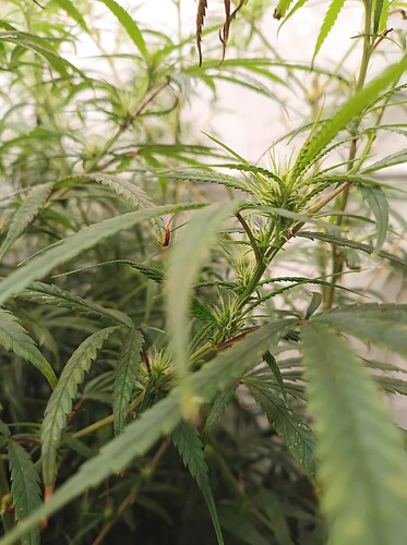 Growreport Bild 24