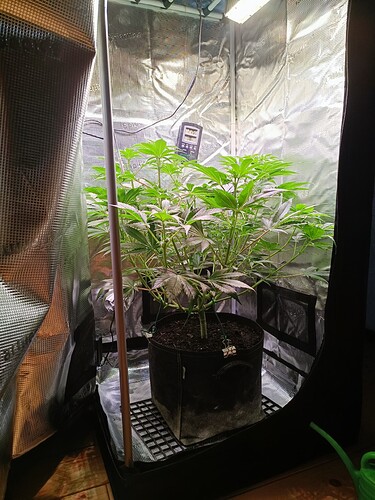 Growreport Bild 4
