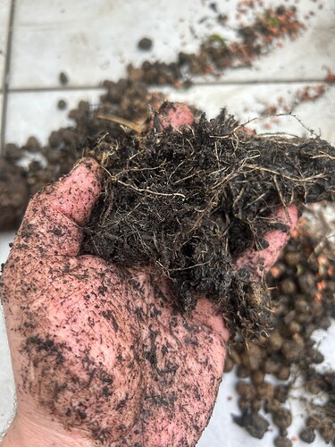 Growreport Bild 52