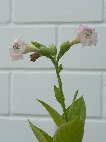 Growreport Bild 12